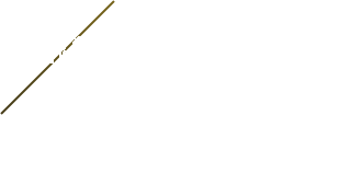 事業内容